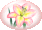 gift from Annie Of The Flowers.gif (1784 bytes)
