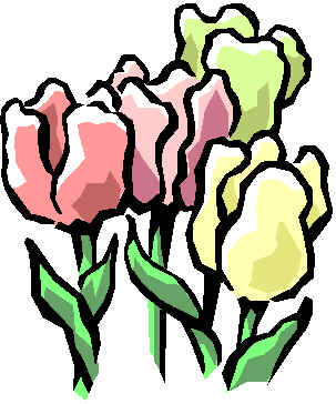 tulips2.wmf (5590 bytes)